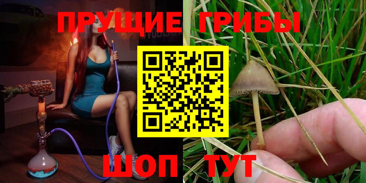 Сыктывкар  Галлюциногенные грибы Psilocybe  Вход с VPN 